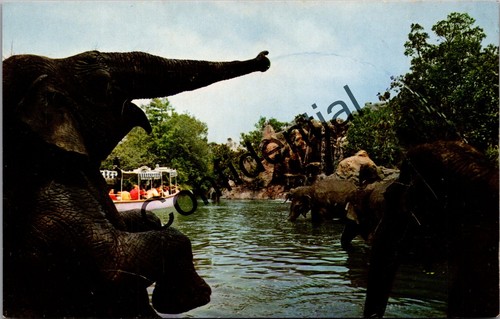 Disneyland amusement park - disneyland,